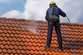 4 Benefits Of Roof High-Pressure Cleaning In Adelaide And How It Manages To Keep Your Roof In Check